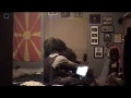 Ghillie Boredom