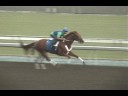 Kentucky Derby Winner -Mine that Bird works