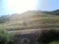 phonix ganda valeta
