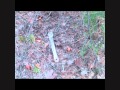 4 APRIL 2012 BIGFOOT RESEARCH IN THE HOT ZONE PART 2.wmv