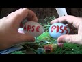And now, the first video that actually made me ill! I was sick for about an hour after filming. You can probably guess which product I blame... So, what's on offer this Eastertide? Biscuits, jelly lollies, plenty of horrid 'mallows', egg-painting kits, DIY puppet sets, some vaguely chocolate egg-things, a bloody great Kinder surprise and some rings with boiled sugar stuck on them. Lovely. And you get to see the hilarious japery that goes on behind the scenes! Ahaha! IT'S ANNOYING.