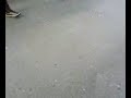 Aprem cit�