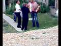 STRUGA