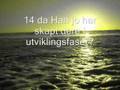 Norsk Koran Noah Nouh Noa surah 71 vers 1 - 28