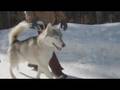  - MovieZen Video