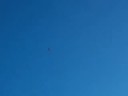 Ultrafly P51 Rc plane