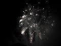 Feuerwerk Sylvester SI-Centrum 08/09 Feuerwerk Sylvester SI-Centrum 08/09