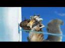 nicolas-hulot-la-chanson-par-fanfan-.html