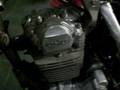 crfx 200