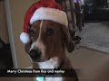 Ray and Marley Christmas Greeting Ray and Marley Christmas Greeting
