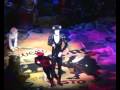 Dutch Cats - Dr. Diavolo (Mr. Mistoffelees)