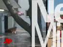 AP Top Stories