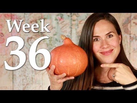 30wehcttam2 - http://MamaNatural.com It's week 36 and Mama found her doula! Get the scoop on that, plus my latest midwife visit, my kooky fatty cravings, and the unlikely ...