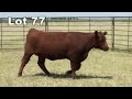 Lot 77 U326