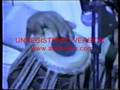 Ustad Tafo - Paa Bhag Accordian