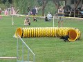 agility z�vody Louny - Barbora  Jessica