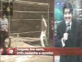 pegadinhas do joao kleber   tirando sarro velha feia etc  
