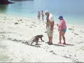 4 Islands Tour - Krabi, Thailand