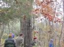 chicago, iowa, milwaukee