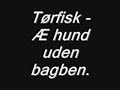 Tørfisk - æ hund uden bagbenstryfri