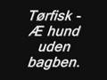 Tørfisk - æ hund uden bagben