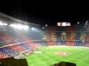 BARÇA MANDRIL 07. CAMP NOU BARÇA MANDRIL 07. CAMP NOU