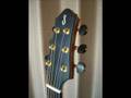 BLUE Strings Model 414