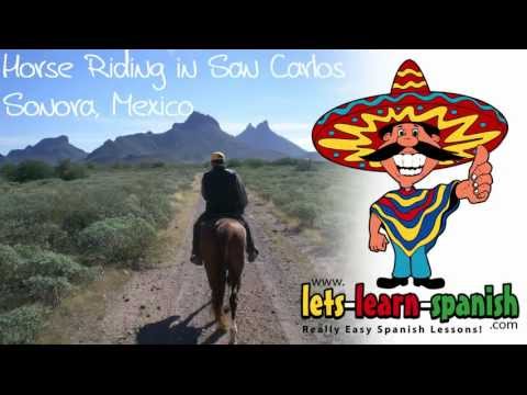 Expressing That You Like Something In Spanish (+ A WARNING)