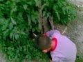YouTubeサムネイル[Ec2TqiLsuEs] - 3枚目