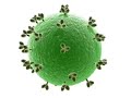 HIV Structure