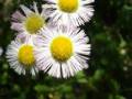 videos de Photography 