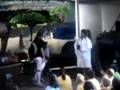 VBS-Safari skits clips