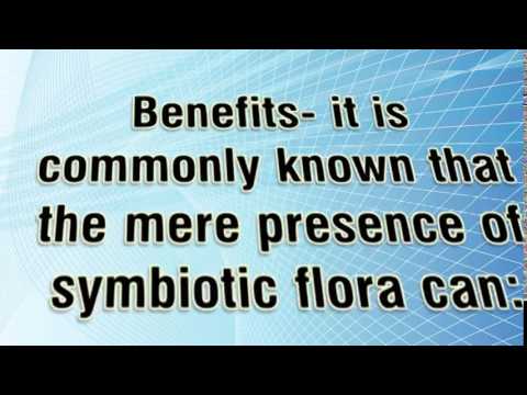 how to rebuild flora