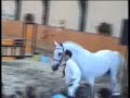 Cardento mov. 02