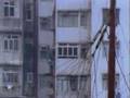 Documental-sobre-Hon