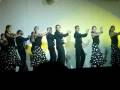 videos de Flamenco Avanzados Semana de la Cultura XXVIII