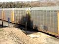 UP 5447 loaded autoracks south
