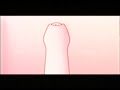 Foreskin Anatomy - The Prepuce Structure - עורלה