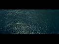 le grand bleu : fascination dauphins