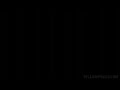 BS312822557_long.flv