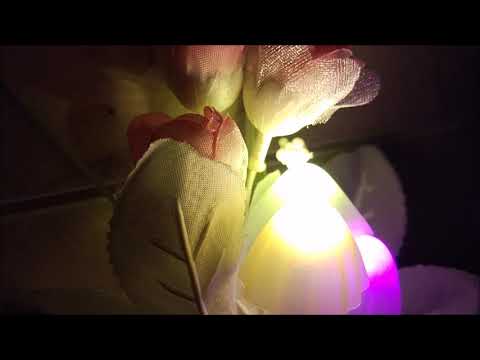 ⭕ Mini TULIP ROMANTIC SENSOR LED Night Light