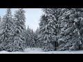 Corul Mira - Leganelul lui Iisus Corul Mira - Leganelul lui Iisus