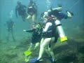 Diving Diving