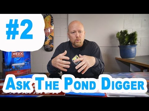 how to drain fish pond