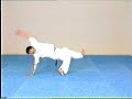 Advanced Capoeira. Mestre Paulao Ceara. 07-2 Advanced Capoeira. Mestre Paulao Ceara. 07-2