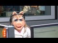 Muppets Fan-A-Thon Announcement - On-Air with Ryan Seacrest