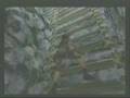 Tomb Raider II - Great Wall (2/2)