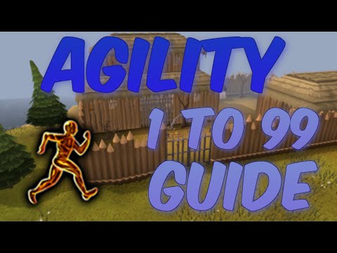 how to train agility 2014