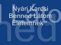 NYÁRI KÁLMÁN Benned Látom Életemnek .Gipsy Music