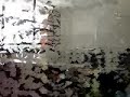 visita caliente en ba�o